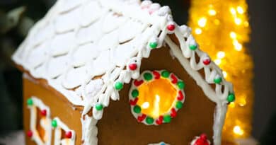Gingerbread House -Gingerbread House