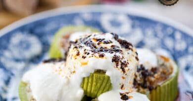 Katıklı Dolma