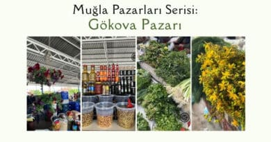 Gökova Pazarı tarifi